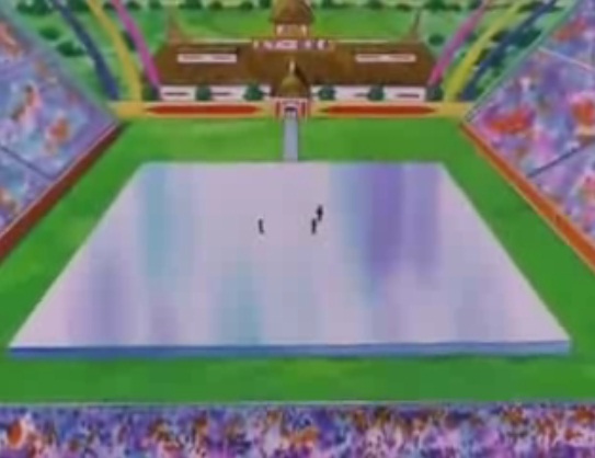 dragon ball z tournament